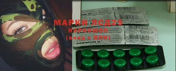 ПСИЛОЦИБИНОВЫЕ ГРИБЫ Алексин